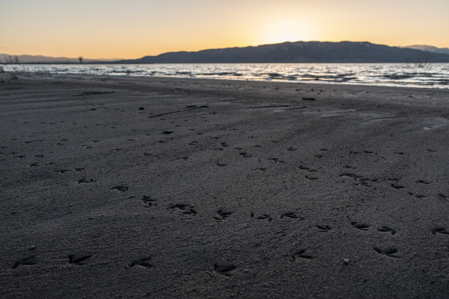 Kildeer prints in the sand, above the lake and the sun just setting behidn the  mountain in a yellow sky